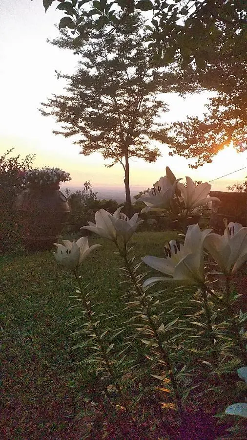 Poggio Leporaia Apartment Lamporecchio